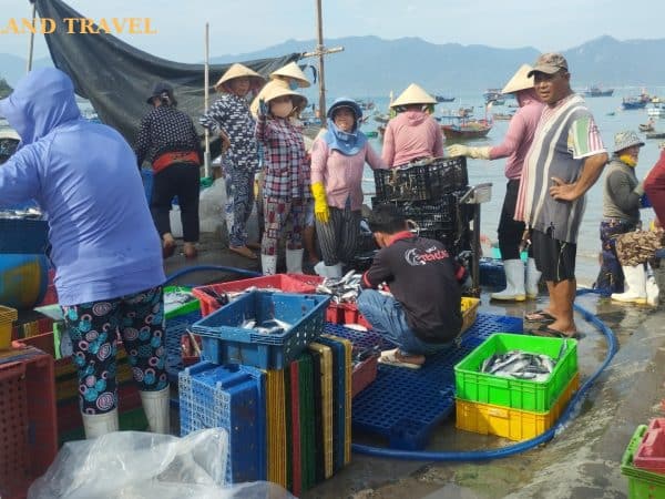 Tour Ba Ho nha trang vuongland travel 8