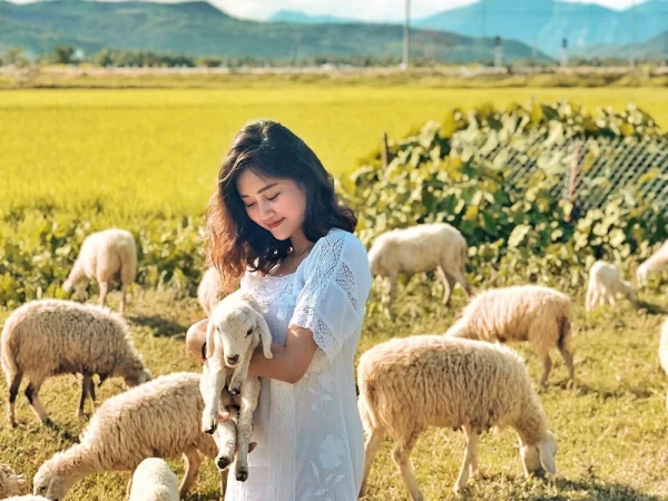 Tour Hang Rái Vĩnh Hy 1 Ngày 10 suoi tien sheep field 1