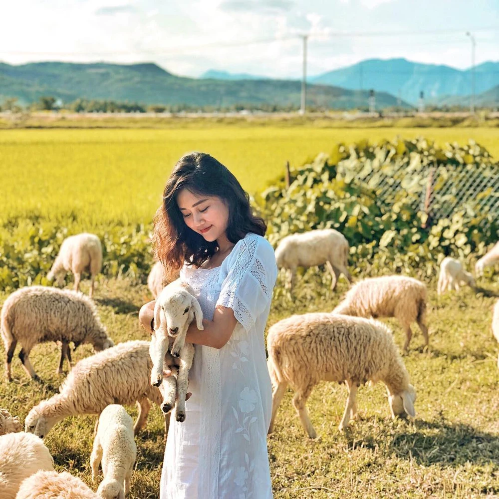 Tour Nha Trang 4 Ngày 3 Đêm 5 suoi tien sheep field