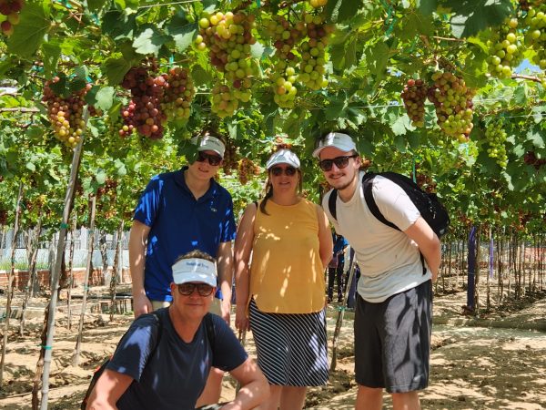 Tour Nha Trang 4 Ngày 3 Đêm 16 vineyard ninh thuan1