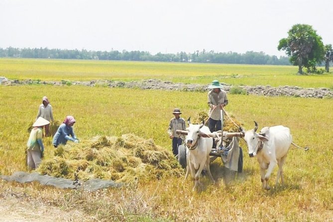 Nha Trang Countryside Tour 5 nha trang countryside