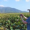 Tour Doc Let Nha Trang 7 ninh hoa