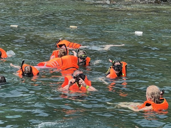 snorkeling nha trang tour 2