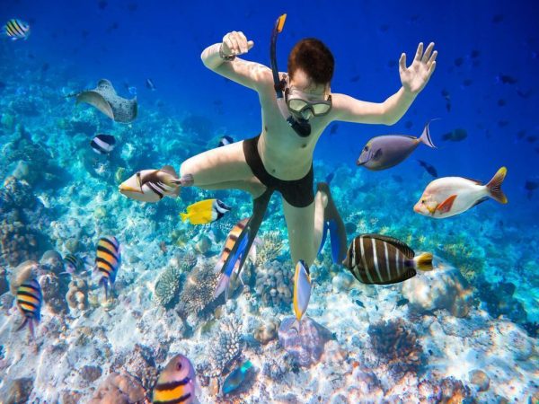 Tour Lặn Biển Nha Trang, tour lặn biển ngắm san hô