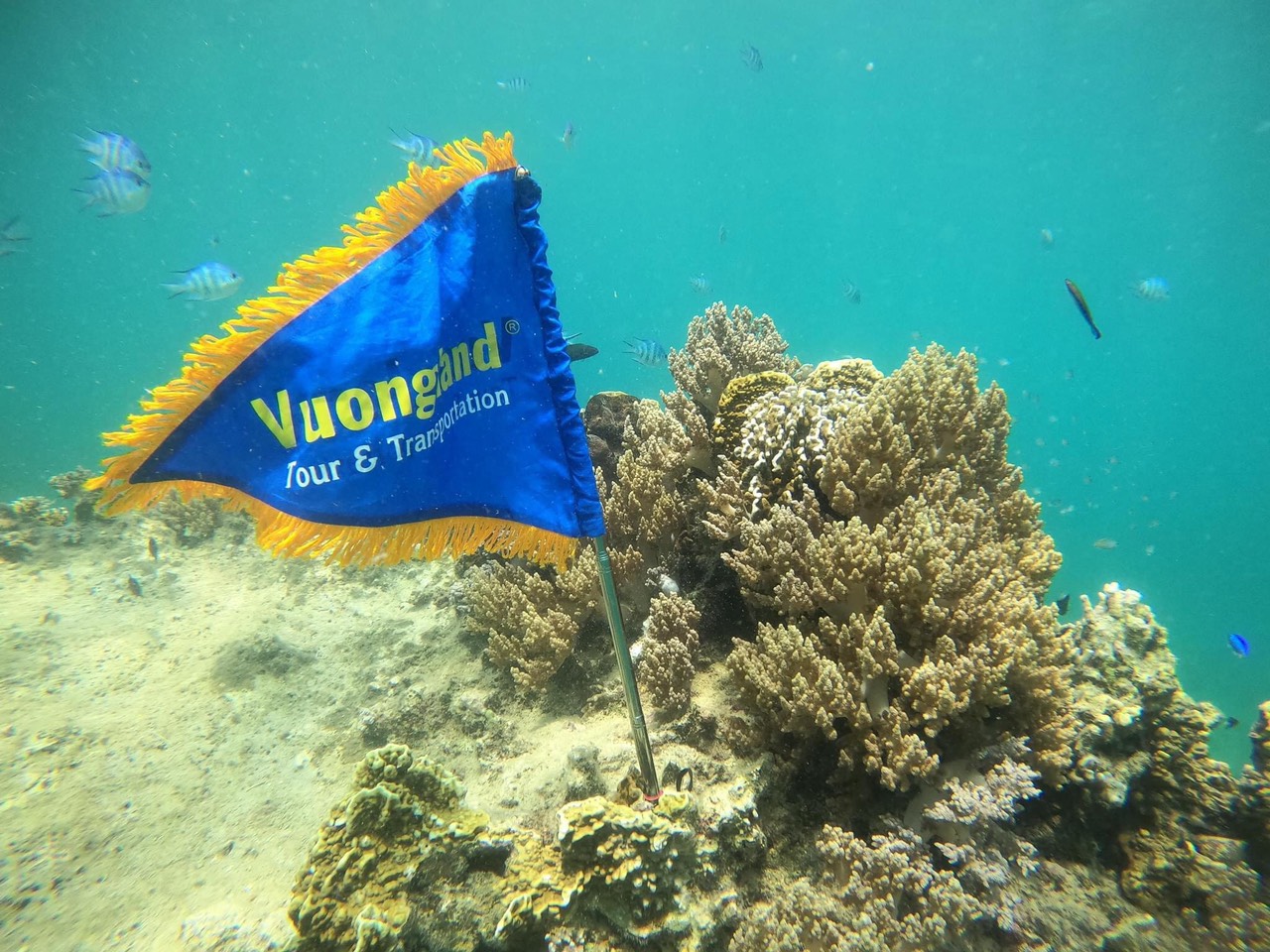Nha Trang Snorkeling Tour 32 Nha Trang Snorkeling