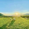 Tour Nha Trang - Phan Rang 1 Day 11 sheep field