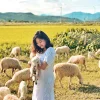 Tour Nha Trang - Phan Rang 1 Day 12 suoi tien sheep field