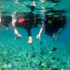 Nha Trang Snorkeling Tour 28 tour snorkeling