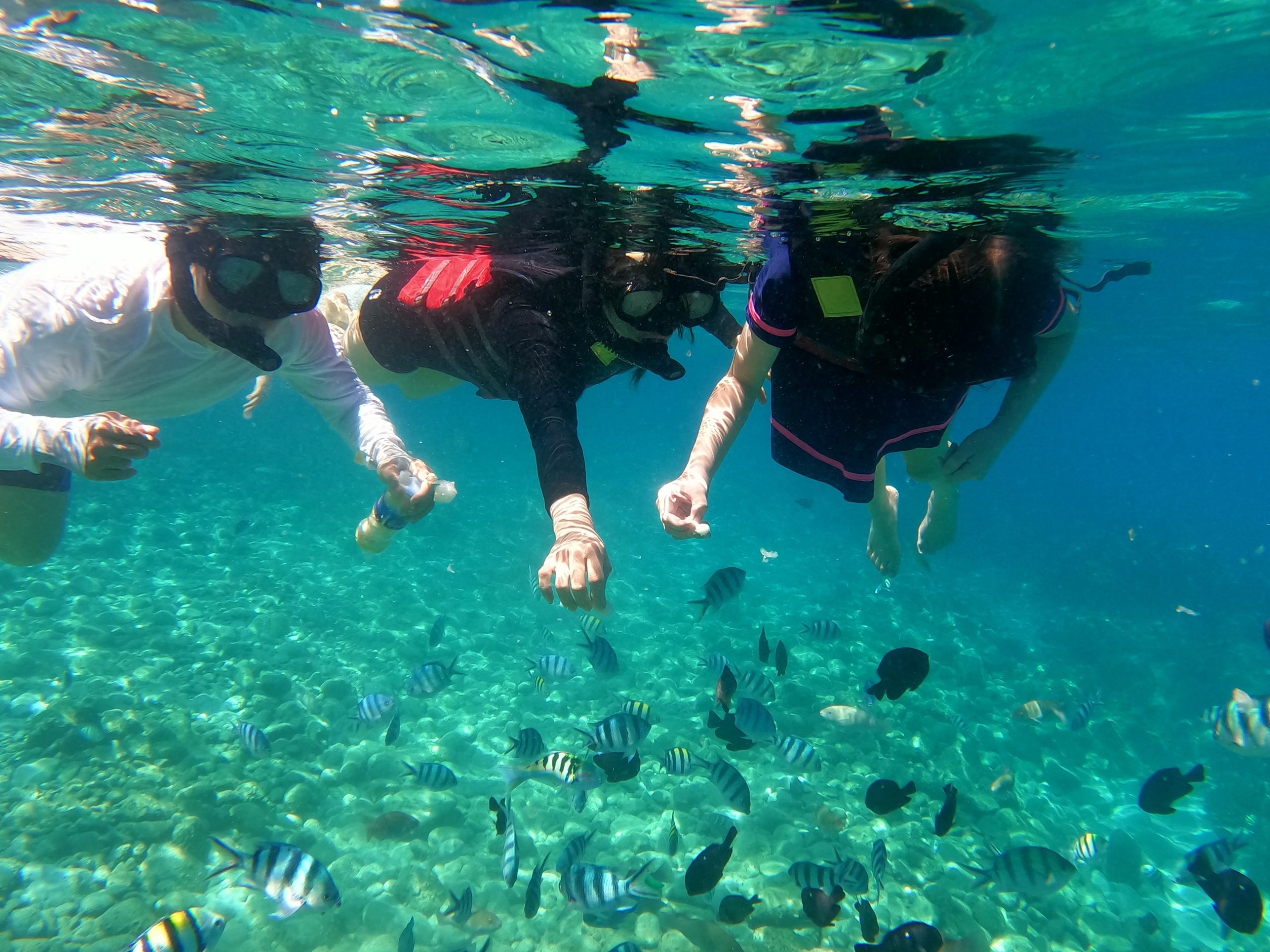 Nha Trang Snorkeling Tour 13 tour snorkeling scaled