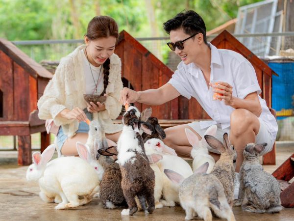 Tour Thác Yang Bay 1 Ngày 8 tour ghep yang bay 1 ngay